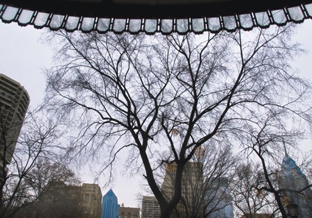 Park View II (Color) by Erin Clark art print