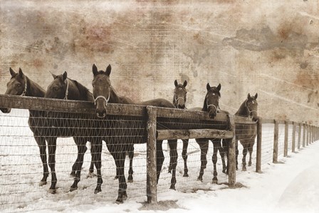 6 Faces Vintage by Erin Clark art print