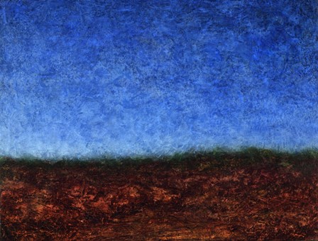 Arroyo Rojo by James W. Johnson art print