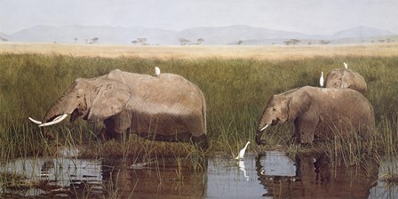 Gentle Giants by David Knowlton art print