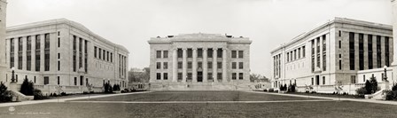 Harvard Medical School, Panorama by Print Collection art print