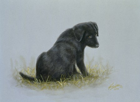 Curious by John Silver art print