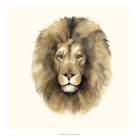 Safari Cat II by Grace Popp art print