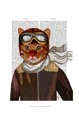 Flying Cat by Fab Funky art print