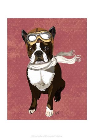 Boston Terrier Flying Ace by Fab Funky art print