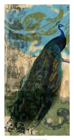 Rustic Peacock I by Jennifer Goldberger art print