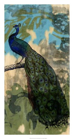 Rustic Peacock II by Jennifer Goldberger art print