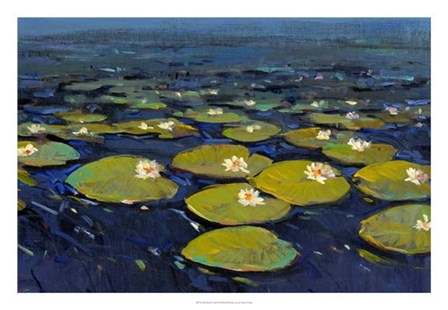 Lily Pads I by Timothy O&#39;Toole art print
