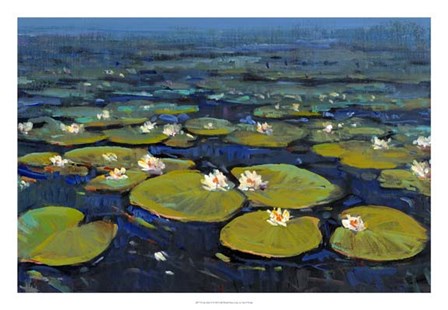 Lily Pads II by Timothy O&#39;Toole art print