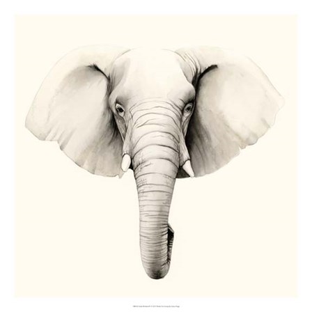 Safari Portrait IV by Grace Popp art print