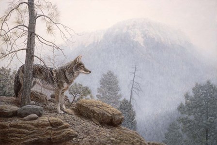 Misty Lookout by Richard Burns art print