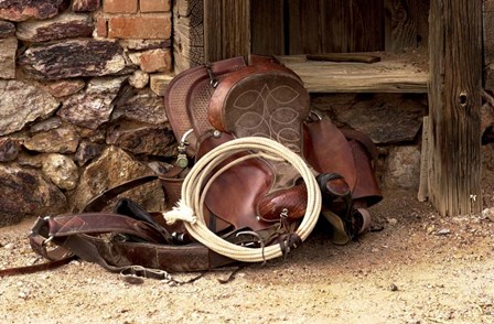 Head Wrangelrs Saddle by Amanda Lee Smith art print