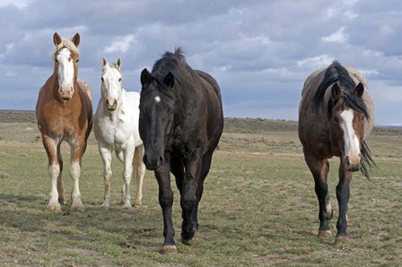 The Four Musketeers 2 by Amanda Lee Smith art print