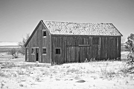 The Reed Place 1 by Amanda Lee Smith art print