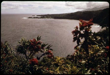 Honomanu Bay by American Eyes art print