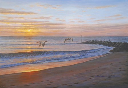 Wings Over Captiva by Bruce Dumas art print