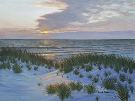 Fort De Soto Sunset by Bruce Dumas art print