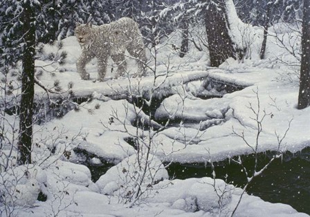 Canadian Lynx &amp; Snowshoe Hare by Jeff Tift art print