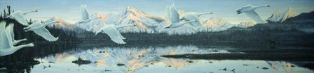 Northern Flight by Jeff Tift art print
