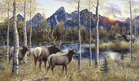 Autumn Rival by Jeff Tift art print