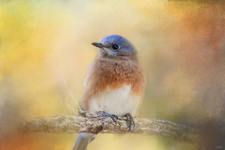 Autumn's Treasure by Jai Johnson art print