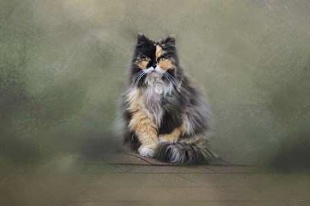 Rooftop Roost by Jai Johnson art print