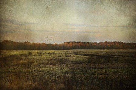 Autumn Flame by Jai Johnson art print