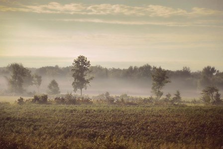 Lifting Fog by Jai Johnson art print