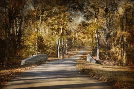 Mingling With Beauty by Jai Johnson art print