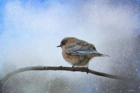 Bluebird In The Snow by Jai Johnson art print
