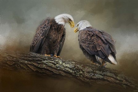 Quiet Conversation Bald Eagles by Jai Johnson art print