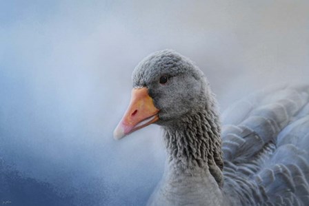 The Greylag Goose by Jai Johnson art print
