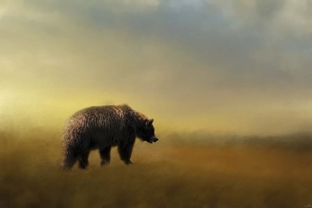 Where The Grizzly Roams by Jai Johnson art print