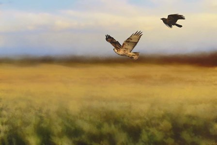 Hawk On The Run by Jai Johnson art print
