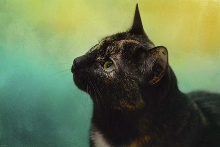 By The Light Of The Sea by Jai Johnson art print