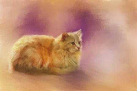 The Warmth Of A Perfect Day by Jai Johnson art print