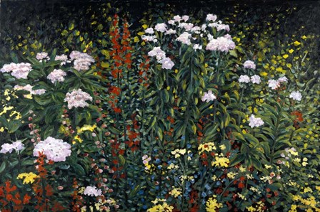 Wildflower Garden by Kevin Dodds art print