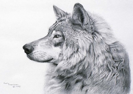 Lanus Lupis by Rusty Frentner art print
