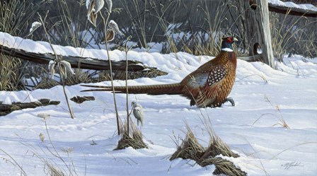 Fenceline Strut by Wilhelm J. Goebel art print
