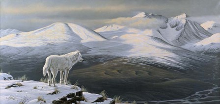 Vantage Point by Wilhelm J. Goebel art print