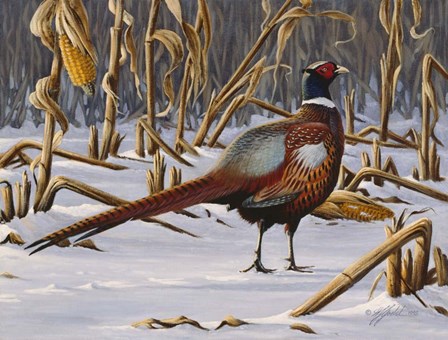 Corn Row Ringneck by Wilhelm J. Goebel art print