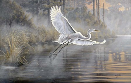 Sunrise Flight by Wilhelm J. Goebel art print