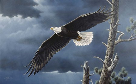 Soaring Wings by Wilhelm J. Goebel art print