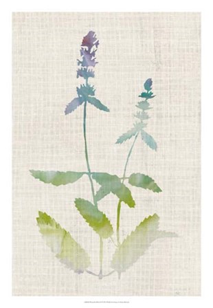 Watercolor Plants IV by Naomi McCavitt art print