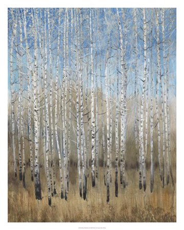 Dusty Blue Birches II by Timothy O&#39;Toole art print