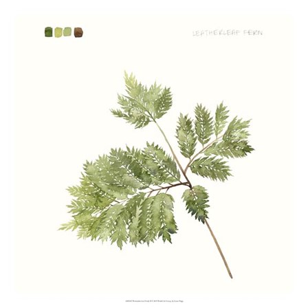 Watercolor Leaf Study II by Grace Popp art print