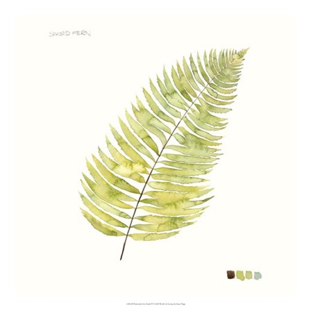 Watercolor Leaf Study IV by Grace Popp art print