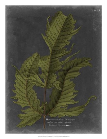 Foliage Dramatique I by Vision Studio art print