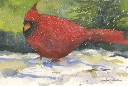 Winter Cardinal by Annelein Beukenkamp art print