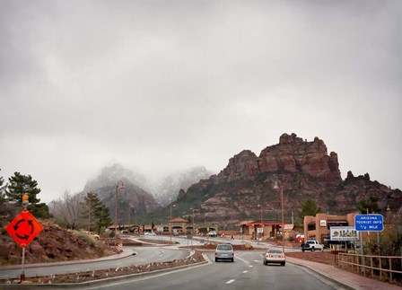 Arizona Tourist by Janice Sullivan art print